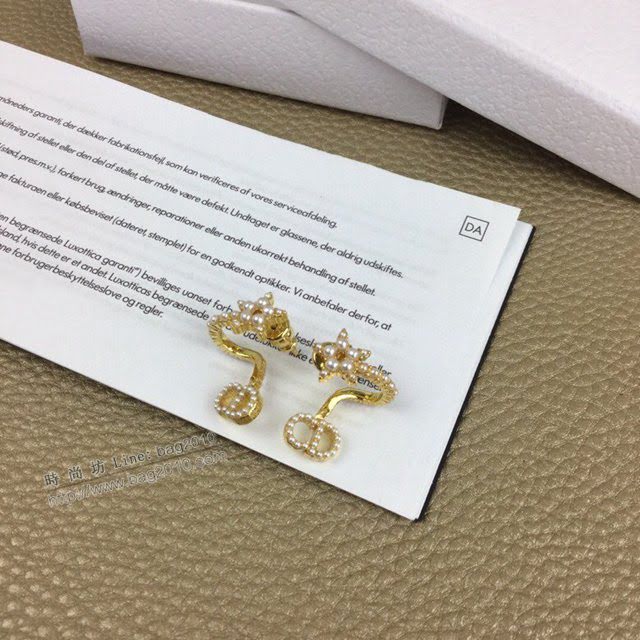 Dior飾品 迪奧經典熱銷款耳環耳釘  zgd1285